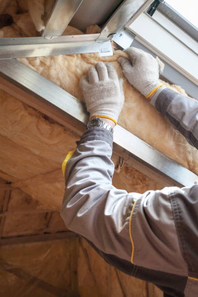 Best Cellulose Insulation in Weston, OH